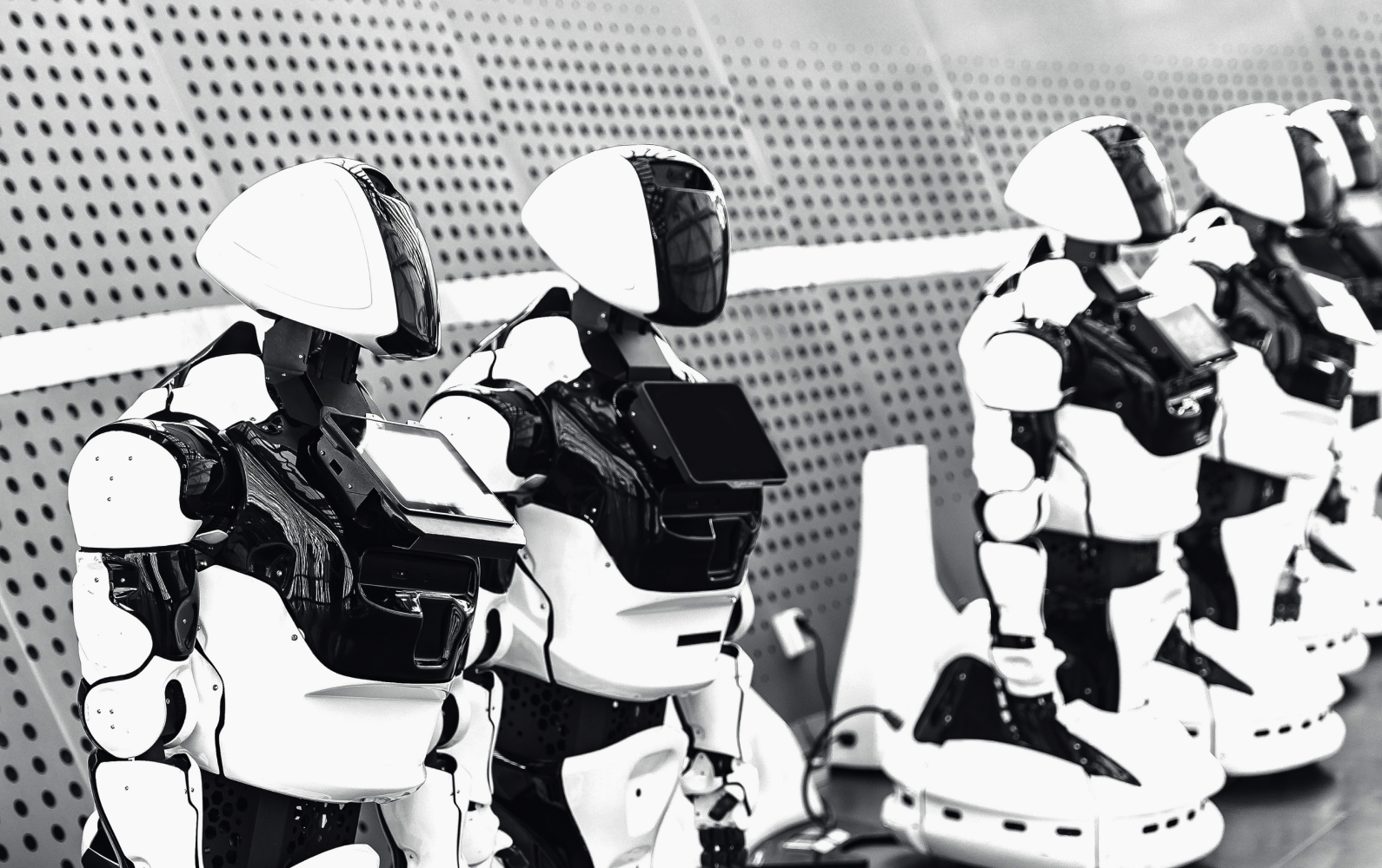 Humanoid robot , Robot dog